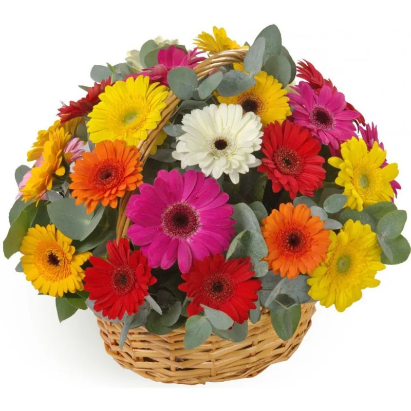 Корзина из 31 разноцветной герберы, доставка Большая Глушица